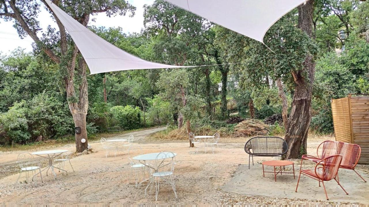 Les Pierres De La Massane - Vue Sur Les Alberes Lejlighed Argelès-sur-Mer Eksteriør billede